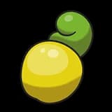 Shuca Berry
